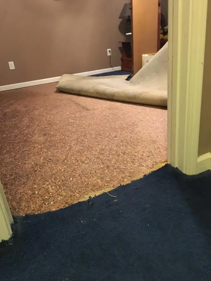 Carpet pad removal revealing water damage during Water Mitigation Services in Fairview Heights