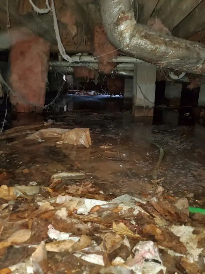 Crawl space flood assessment for Commercial Water Damage Restoration in Fairview Heights