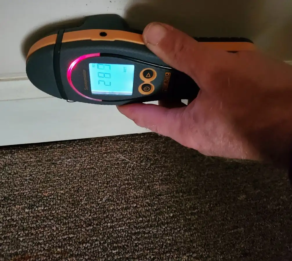Moisture detection at baseboard during Sewage Cleanup & Sanitation in Fairview Heights